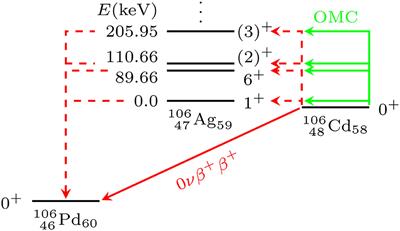 Comparative Analysis of Nuclear Matrix Elements of 0νβ+β+ Decay and Muon Capture in 106Cd